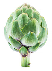 Fototapeta premium Artichoke flower edible bud isolated on white background.