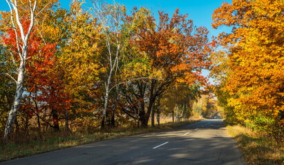 Beautiful autumn landscape with the road and the sun's rays of the setting sun.