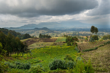Fototapeta na wymiar Agricultural landscape in the Ruhengeri region, Rwanda, Africa
