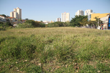 Fototapeta na wymiar Building, blue sky, green grass, São Caetano do Sul, São Paulo, Brazil