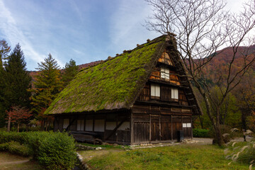 Fototapeta na wymiar Village of Shirakawago in Japan