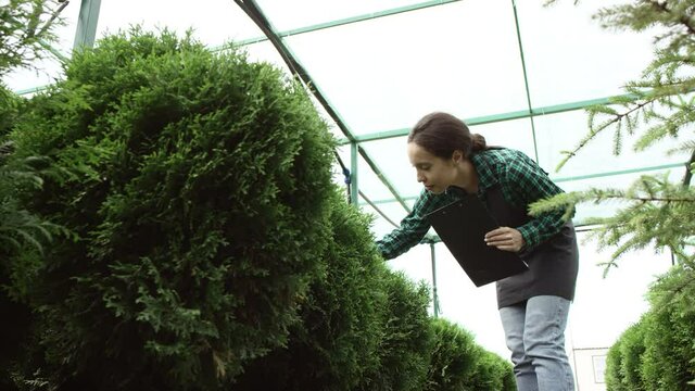 Farmer is looking at the plants