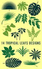 Fototapeta na wymiar Set of floral elements and silhouettes of tropical leafs, ornamental patterns for using in invitation cards, ornaments, wedding invitations, etc.