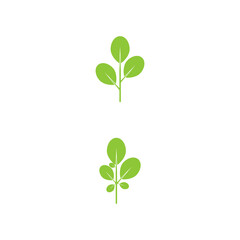 Moringa leaf Logo Template vector