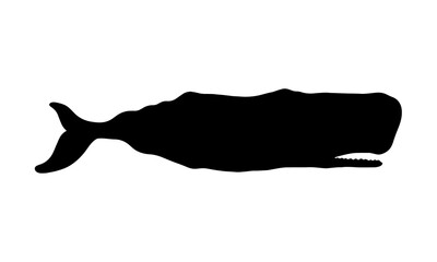 Whale silhouette. Ocean animal vector logo.