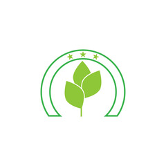 Moringa leaf Logo Template vector