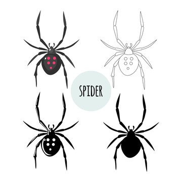Spider. Collection of graphic images. Isolated on white background. Vector stock illustration. Flat design.