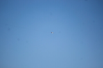 mig 29 fighter jet passing by 