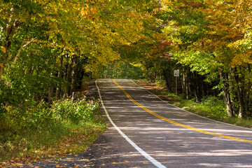 Empty mountain road through a thick deciduous forest. Stowe, VT, USA.