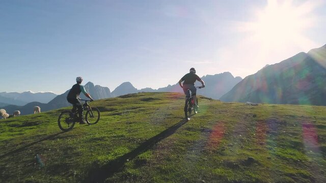 Aerial - Scenic view of mountain bikers arriving to the Alpine mountain with sheep on pasture in spring