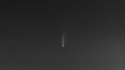 Neowise Comet in the sky at night