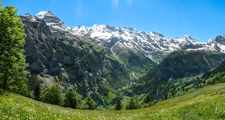 Scenic grass landscape in alpine region of switzerland looking towards snowy mountains