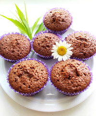 Chocolate cupcakes with ramashki flower.Texture or background