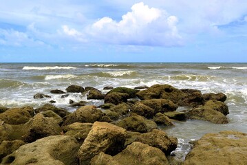 Fototapeta na wymiar Rocky shore, Marineland, Florida