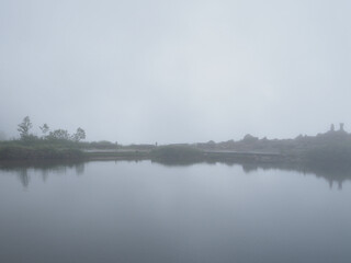 Fototapeta premium OLYMPUS DIGITAL CAMERA