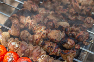 Roast meat in nature