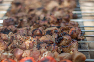 Roast meat in nature