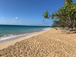 tropical beach with coconut palm trees