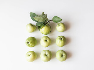 Composition of green apples and leaves on white background. Wallpaper of fruits.Top view, flat lay.
