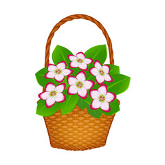 Fototapeta na wymiar Vector illustration basket with flowers as a gift for a holiday greeting