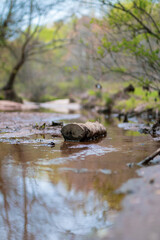 log on a creek