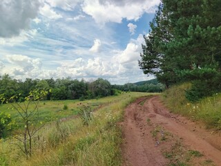 green grass and trees on the background of a beautiful blue sky with clouds