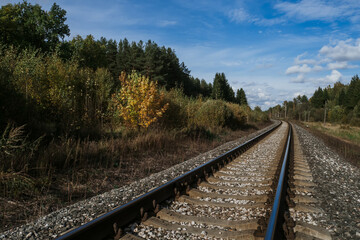 Railway among the forest under the blue sky