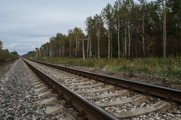 Fototapeta premium old railway in forest on cloudy autumn