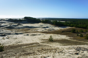 High sand dunes. Picturesque sea shores. Curonian Spit on the Baltic Sea.
