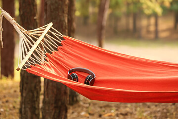 Hammock with headphones in forest on summer day