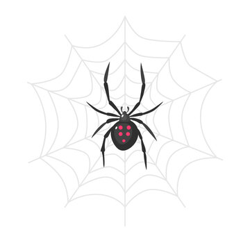 An image of a spider on a web. Isolated on white background. Vector stock illustration. Flat design.