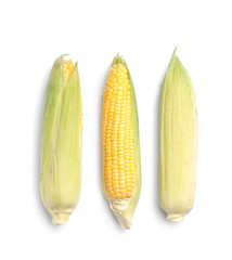 Fresh corn cobs on white background