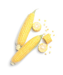Fresh corn cobs on white background