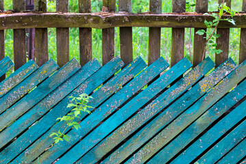 Old wooden blue fence on a background of green grass