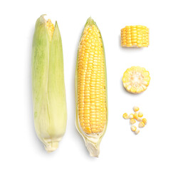 Fresh corn cobs on white background