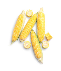 Fresh corn cobs on white background