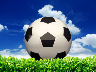 soccer ball on grass