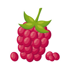 blackberry fresh delicious fruit detailed style icon