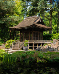 japanese garden in the park