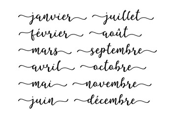 Mois écrits à la main de l'année. Janvier, Février, Mars, Avril, Mai, Juin, Juillet, Août, Septembre, Octobre, Novembre, Décembre. Lettering pour calendrier, organisateur, planificateur