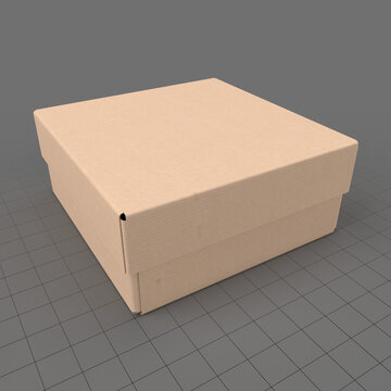 Cardboard box 4