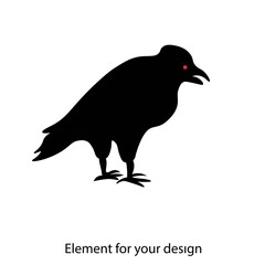 Black Raven. Postal bird. Raven isolated on white background. Game of thrones element