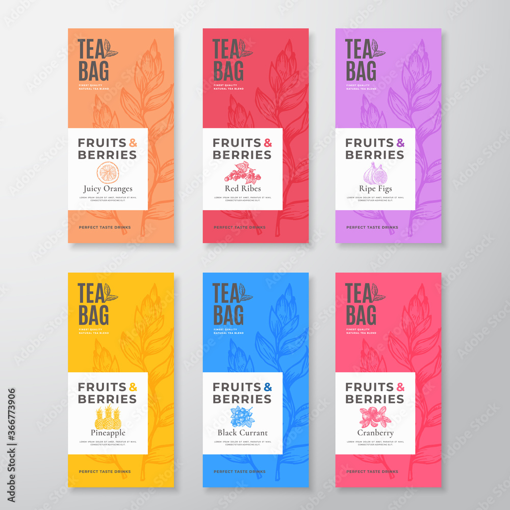 Canvas Prints fruit and berries tea labels set. abstract vector packaging design layouts bundle. modern typography