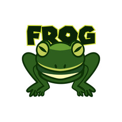 green frog logo isolated on white background. vector illustration