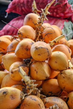 Fresh King Coconuts for sale at a market in Sri Lanka