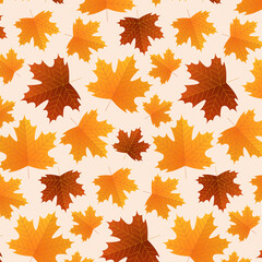 カエデのパターン