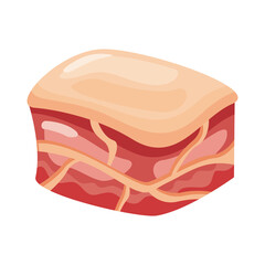 pig meat cut detailed style icon