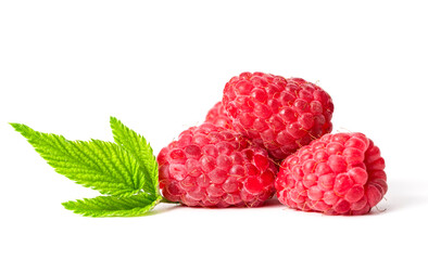 Raspberry on a white background.