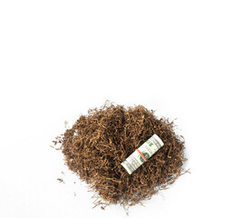 roll of money lay on heap of tobacco in white background from top view. use for concept tobacco trading, tobacco economy.