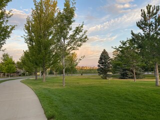 Path in the garden